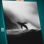 Картина на стену Животные кит монохром 40x50