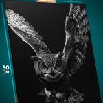 Картина на стену Животные сова филин монохром 40x50