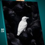 Картина на стену Животные птица ворон черный и белый 40x50
