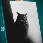 Картина на стену Животные сова филин монохром 40x50