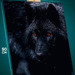 Картина на стену Животные черный волк 40x50