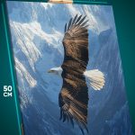Картина на стену Животные птица орел 40x50