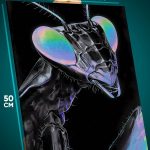 Картина на стену Животные богомол абстракция монохром 40x50