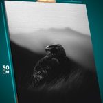 Картина на стену Животные орел монохром 40x50