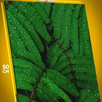 Картина на стену Цветы папоротник 40x50